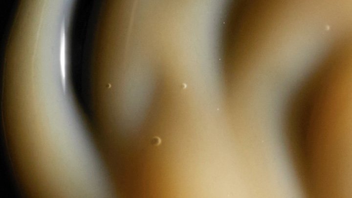 Antioxidants Responsive Image 1